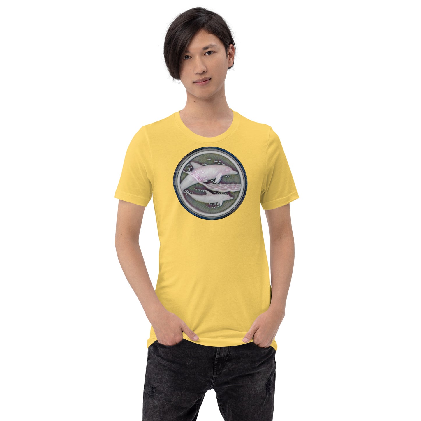 Dolphins 4
